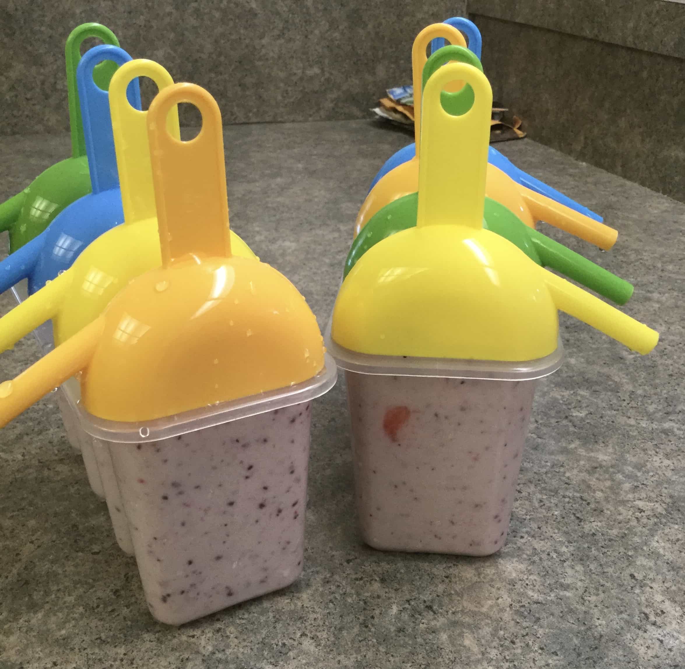 Coconut Milk Fruity Popsicles Back To My Southern Roots