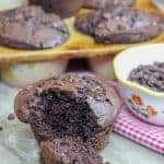 Picture of double chocolate muffin with chocolate chips.