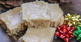 Picture of peanut butter fudge and pinecones