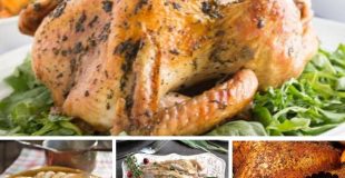 Pictures of turkeys