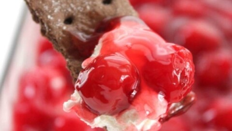 Picture of graham crackers and cherry dip