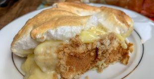 Picture of banana pudding on a plate.