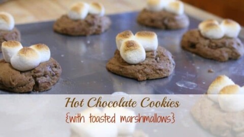 Image for Hot Chocolate Cookies - a family favorite