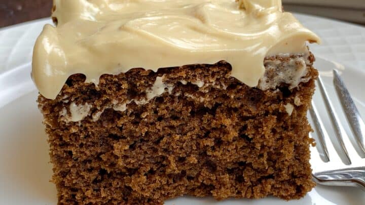 Gingerbread cake with frosting on a plate