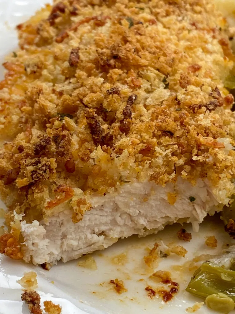 Panko breaded chicken on a white plate.