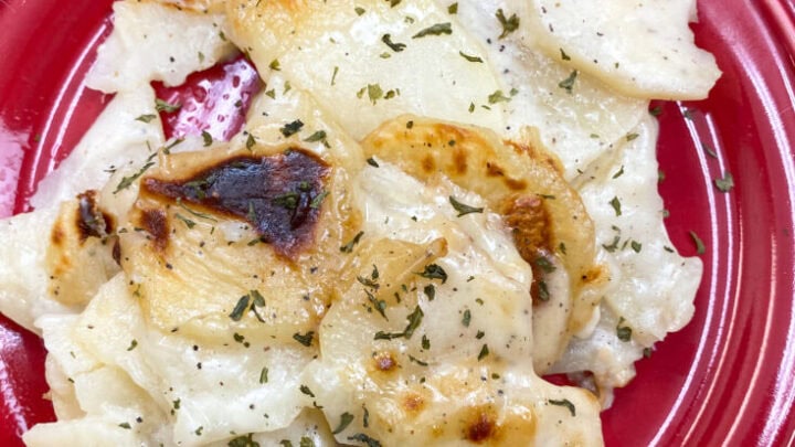 Easy homemade scalloped potatoes on a red plate.