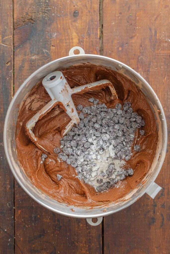 Brownie batter with chocolate chips