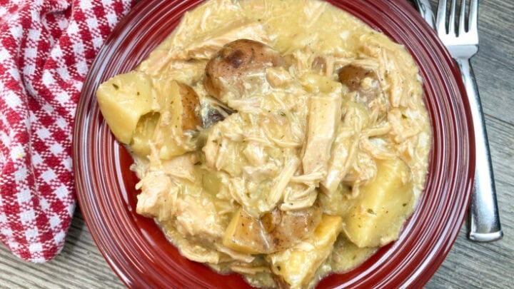 Best slow cooker pork chops on a red plate.
