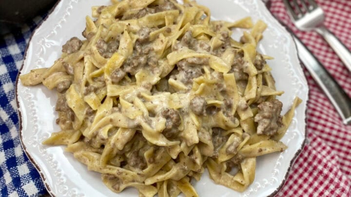 One pot stroganoff on a white plate.