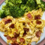 The best slow cooker cheesy chicken and noodles on a plate.