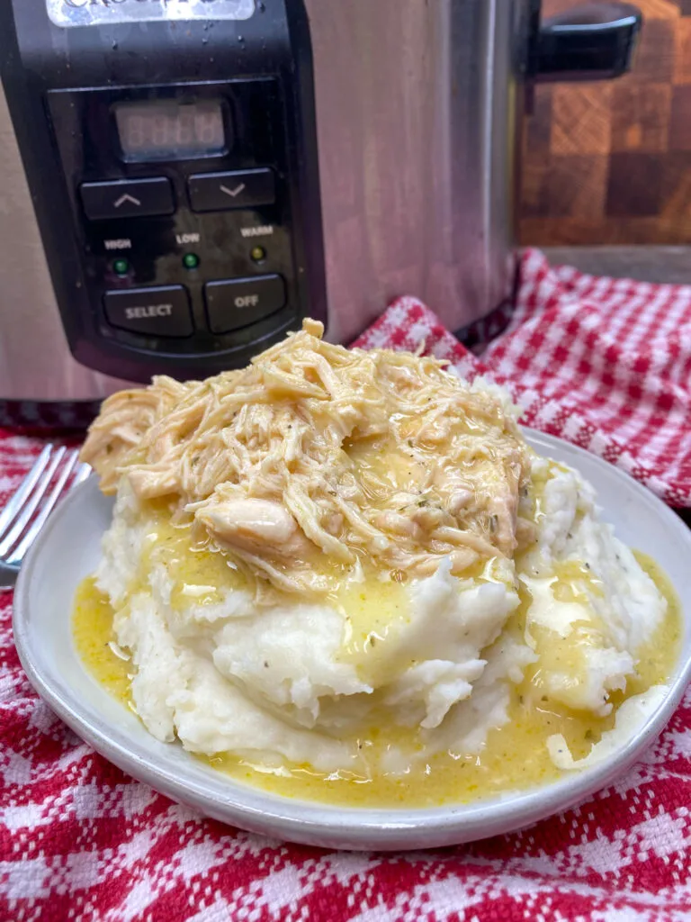 Crock Pot chicken and gravy on a plate in front of the slow cooker.