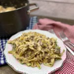 Beef stroganoff on a plate