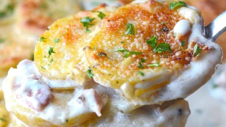 Image for Parmesan Scalloped Potatoes and Ham