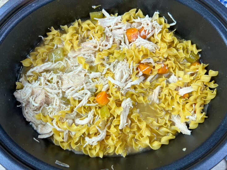 Grandma's Homemade Slow Cooker Chicken Noodle Soup Back To My