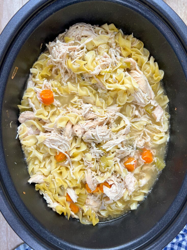 Grandma's Homemade Slow Cooker Chicken Noodle Soup Back To My
