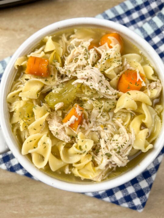 Grandma's Homemade Slow Cooker Chicken Noodle Soup Back To My
