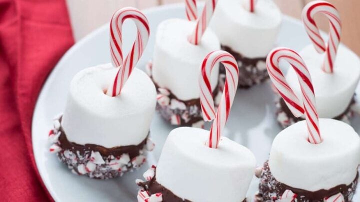 Image for Chocolate Covered Marshmallows