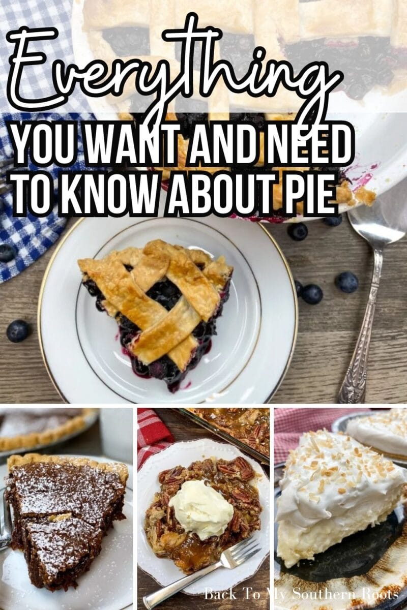 Old Fashioned Southern Egg Custard Pie Recipe - Back To My Southern Roots