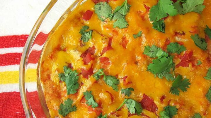 Image for 30 Minute Mexican Lasagna Recipe
