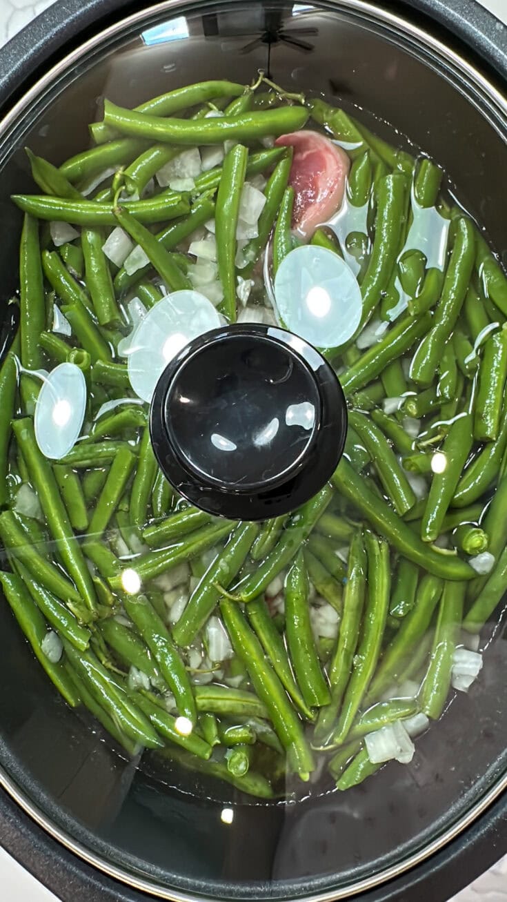 Crock Pot Southern Green Beans And Ham Hock Back To My Southern Roots