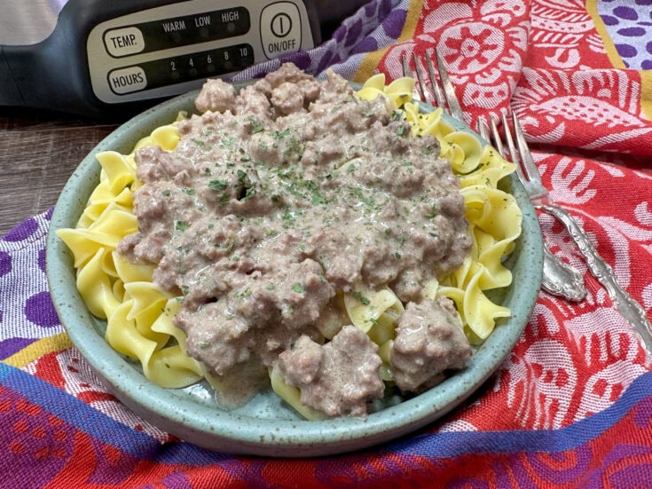 The Best Crock Pot Ground Beef Stroganoff Recipe Back To My Southern Roots
