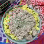 Beef stroganoff on a plate with egg noodles. There's a red and purple kitchen towel underneath and a couple of forks sitting on the towel.