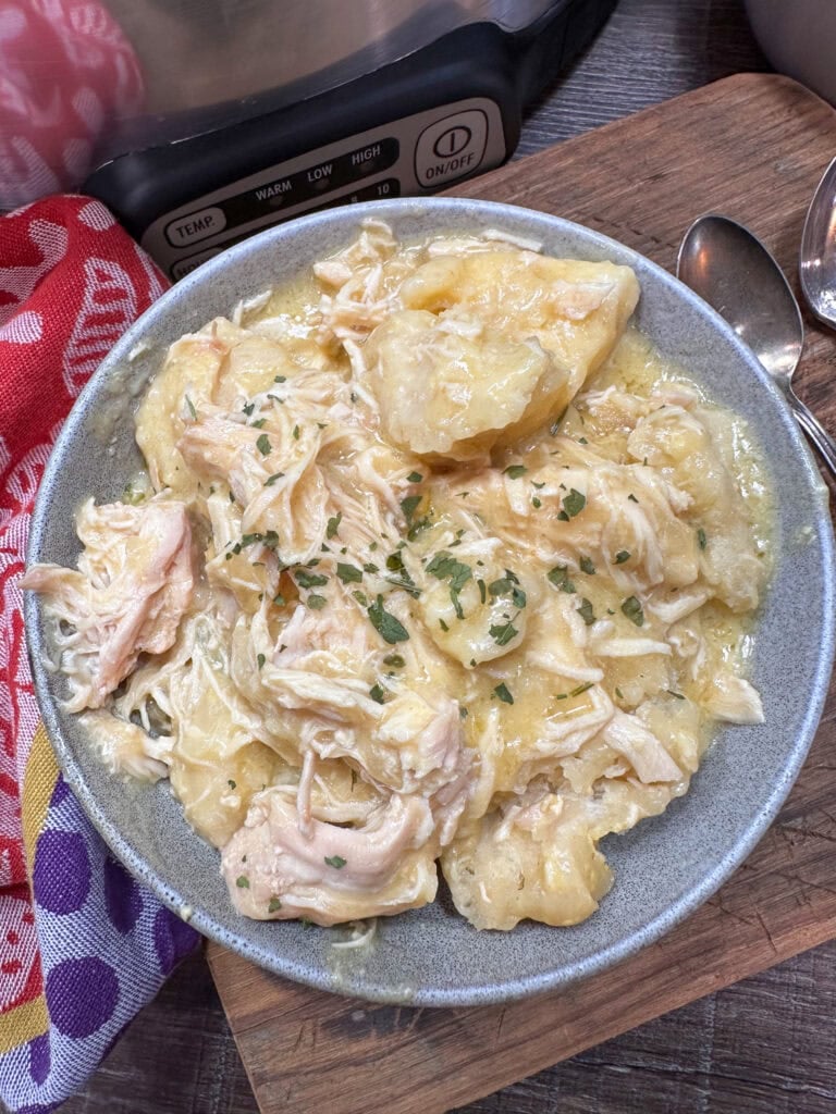 Chicken and dumplings in a bowl.