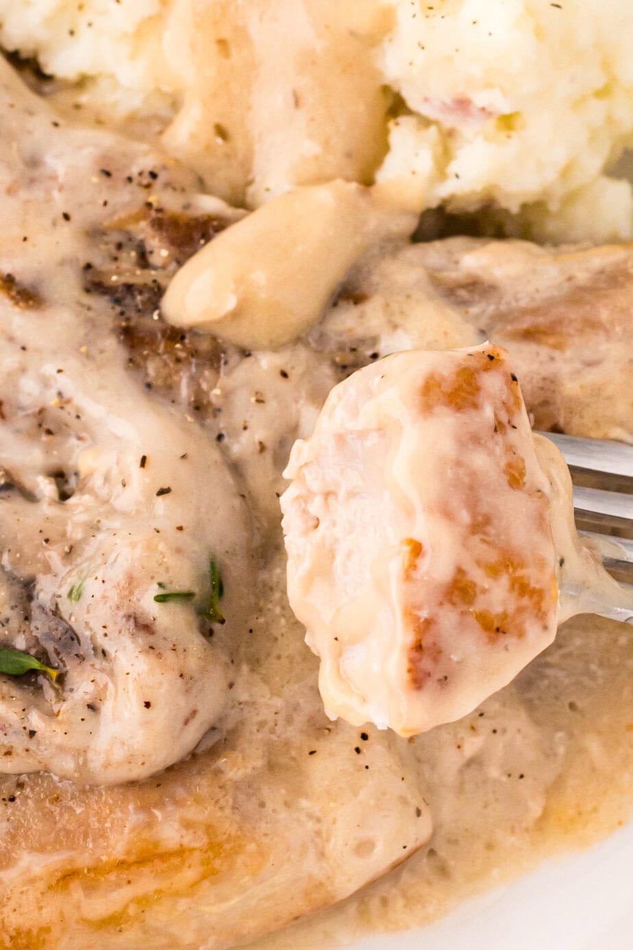 Pork Chops With Cream Of Mushroom Soup - Back To My Southern Roots