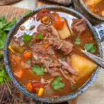Crock Pot beef stew with potatoes and tomatoes in a soup bowl.